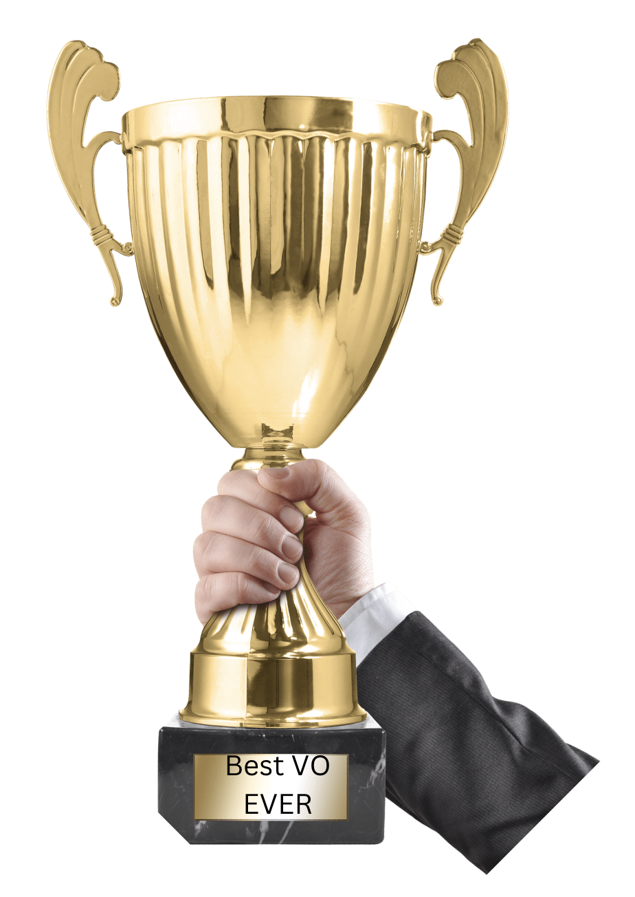 SOVAS or ONE VOICE AWARDS? WHICH ONE TO CHOOSE? - Nethervoice